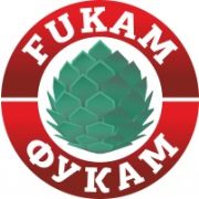 Огнезащитная пропитка Фукам, для тканей всех видов, шторы, ковры, одежда, белье, 50 литров.